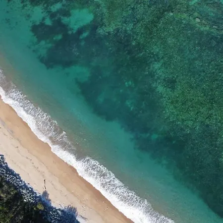 Appartement Les Pieds Dans L Eau *